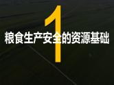 2024-2025学年高中地理（人教版2019）选择性必修三2-3中国的耕地资源与粮食安全课件