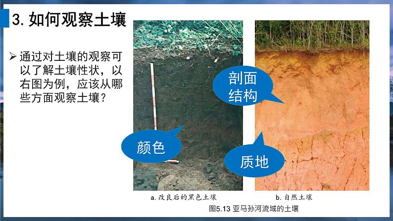 2024-2025学年高中地理（人教版2019）必修一5-2土壤课件第8页