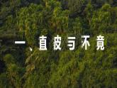 2024-2025学年高中地理（人教版2019）必修一5-1植被课件