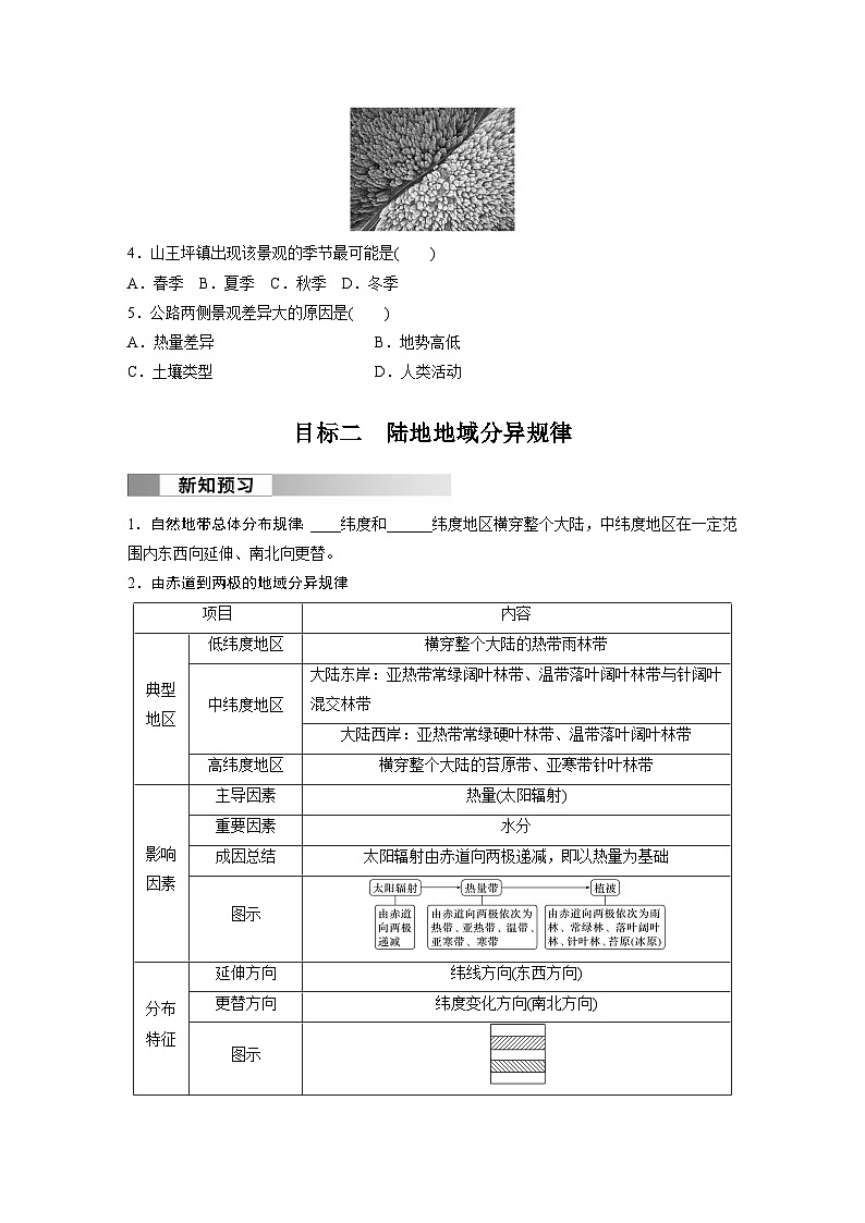 第五章 第二节 课时1　地域差异　陆地地域分异规律（学生版）第3页
