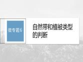 第五章 第二节 微专题6　自然带和植被类型的判断--人教版高考地理选择性必修第一册课件+讲义+专练