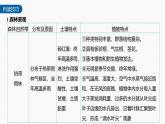 第五章 第二節(jié) 微專題6　自然帶和植被類型的判斷--人教版高考地理選擇性必修第一冊(cè)課件+講義+專練
