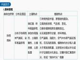 第五章 第二节 微专题6　自然带和植被类型的判断--人教版高考地理选择性必修第一册课件+讲义+专练