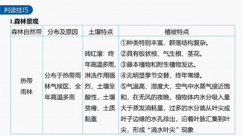 第五章 第二节 微专题6　自然带和植被类型的判断（课件）第5页