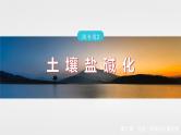 第二章　第二节　微专题2　土壤盐碱化--人教版高考地理选择性必修第二册课件+讲义+专练