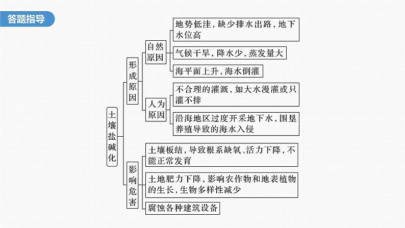 第二章　第二节　微专题2　土壤盐碱化（课件）第3页