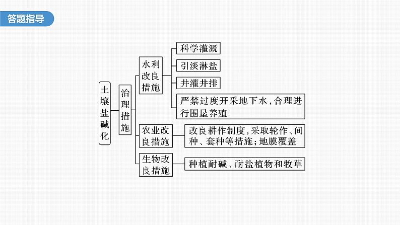 第二章　第二节　微专题2　土壤盐碱化（课件）第4页