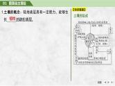 2025年高考地理一轮复习：第一部分自然地理第八单元自然环境的整体性与差异性第39课时　土壤（课件 讲义）