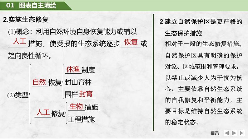 2025届高中地理一轮复习课件：第四部分资源、环境与国家安全第二十单元环境安全与资源安全第79课时　生态保护与国家安全（共28张ppt）第7页