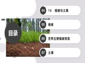 第16讲 植被与土壤-备战2025年高考地理一轮复习课件（新高考通用）