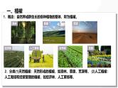 第16讲 植被与土壤-备战2025年高考地理一轮复习课件（新高考通用）