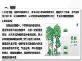 第16讲 植被与土壤-备战2025年高考地理一轮复习课件（新高考通用）