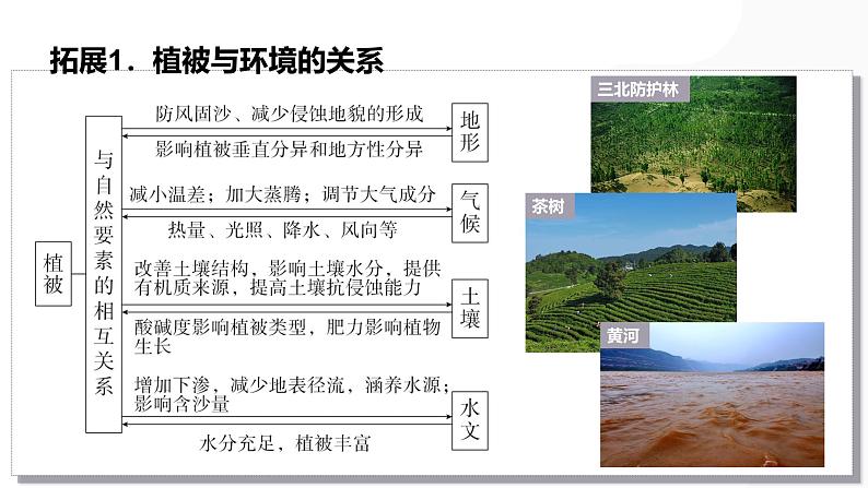 第16讲 植被与土壤-备战2025年高考地理一轮复习课件（新高考通用）第6页