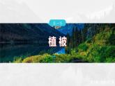 第五章  第一节　植被--人教版高中地理必修第一册同步课件+讲义+专练