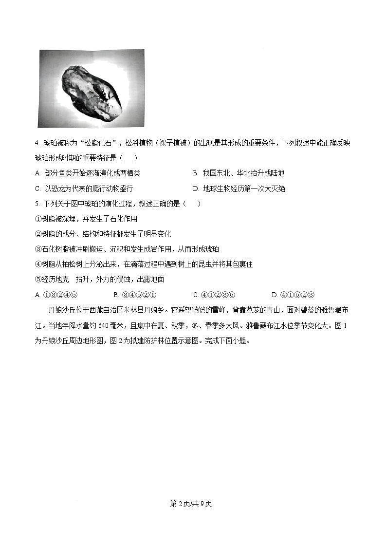 湖南省怀化市2024-2025学年高一上学期期末考试地理试题（原卷版）第2页
