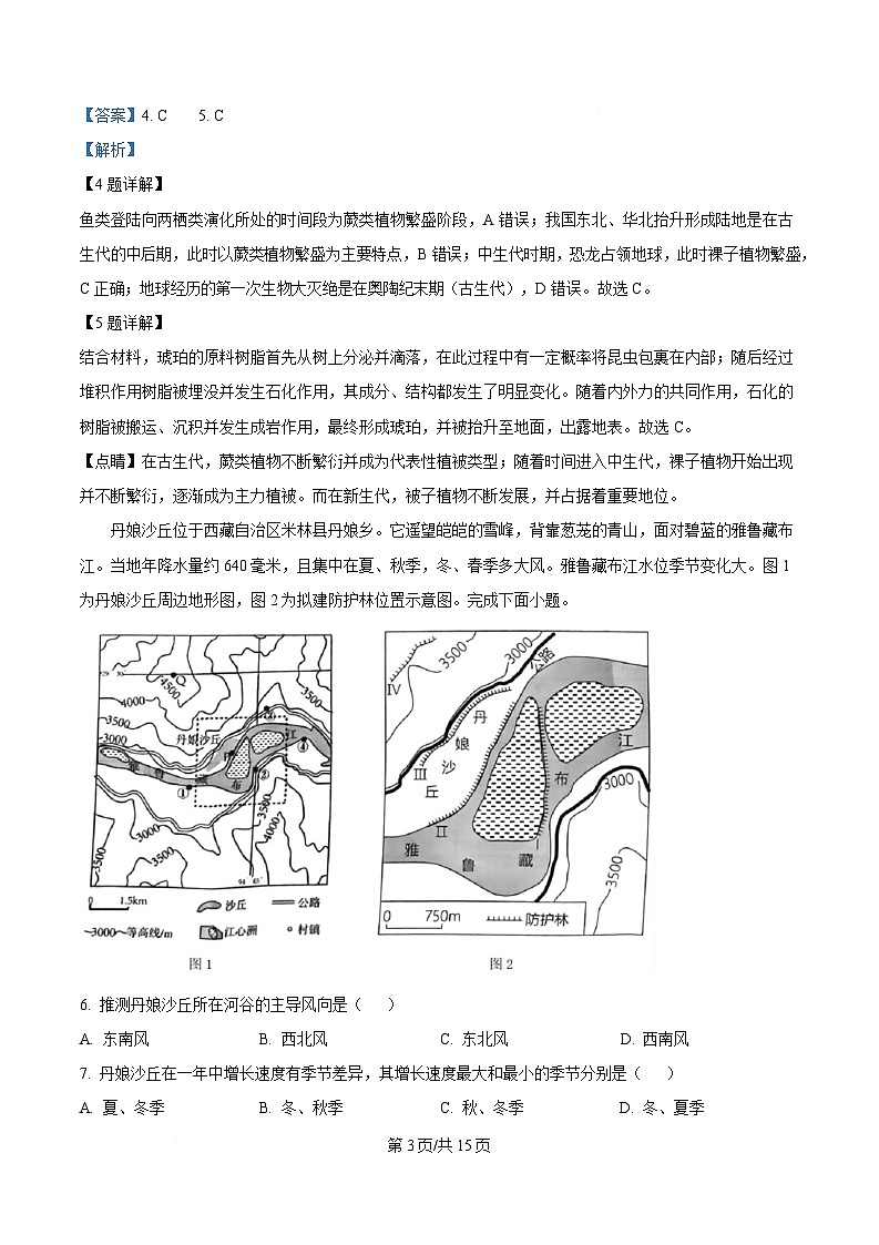湖南省怀化市2024-2025学年高一上学期期末考试地理试题含解析第3页