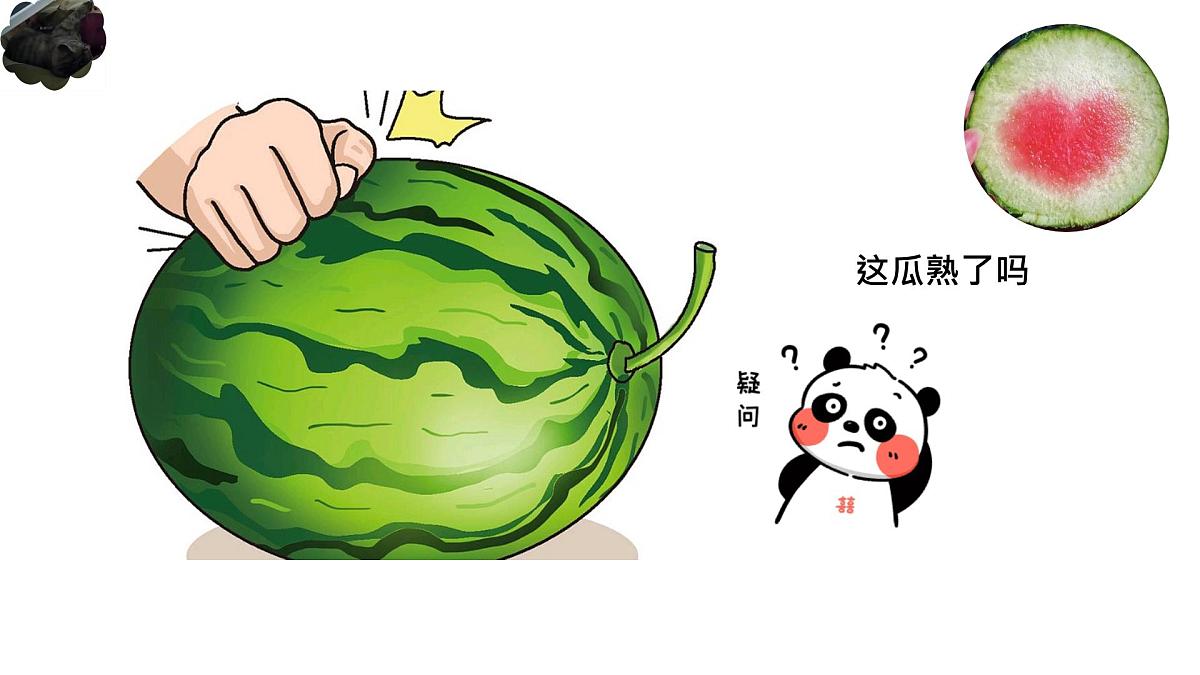 1.4地球的圈层结构 课件-2024届高一上学期地理人教版（2019）必修第一册第5页