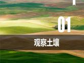 5.2 土壤 课件-高中地理人教版（2019）必修第一册