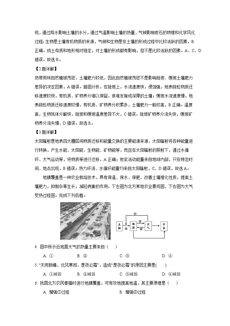 河南省部分学校2024-2025学年高一下学期开年摸底大联考地理试题（解析版）第2页