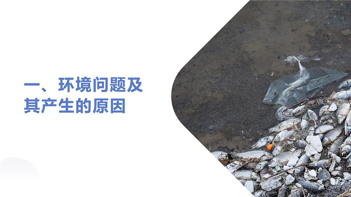 人教版2025高中地理必修二必修二5.1人类面临的主要环境问题 课件第4页