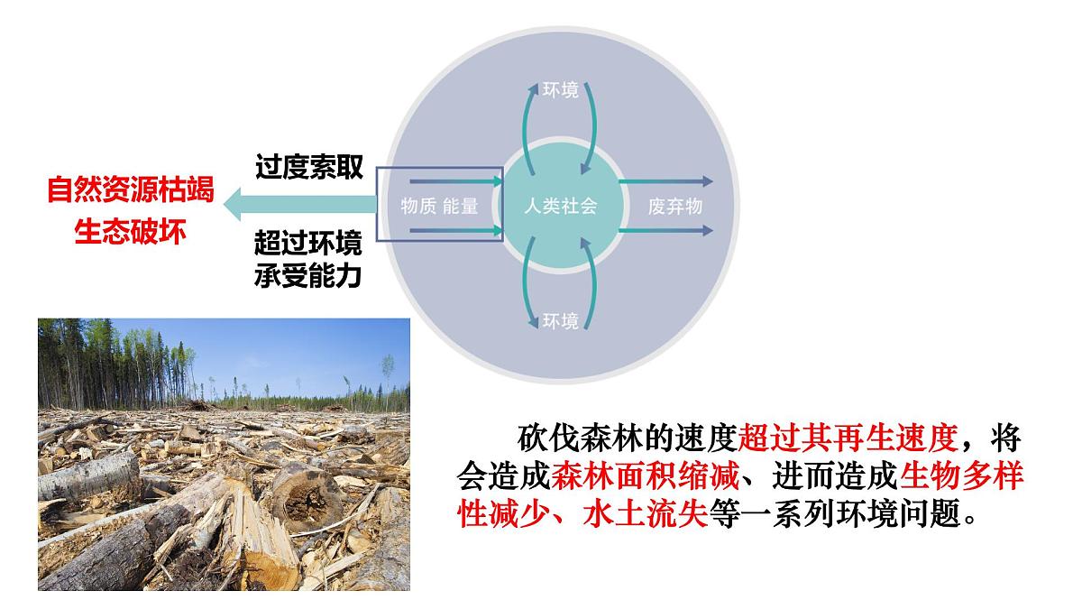 人教版2025高中地理必修二必修二5.1人类面临的主要环境问题 课件第7页