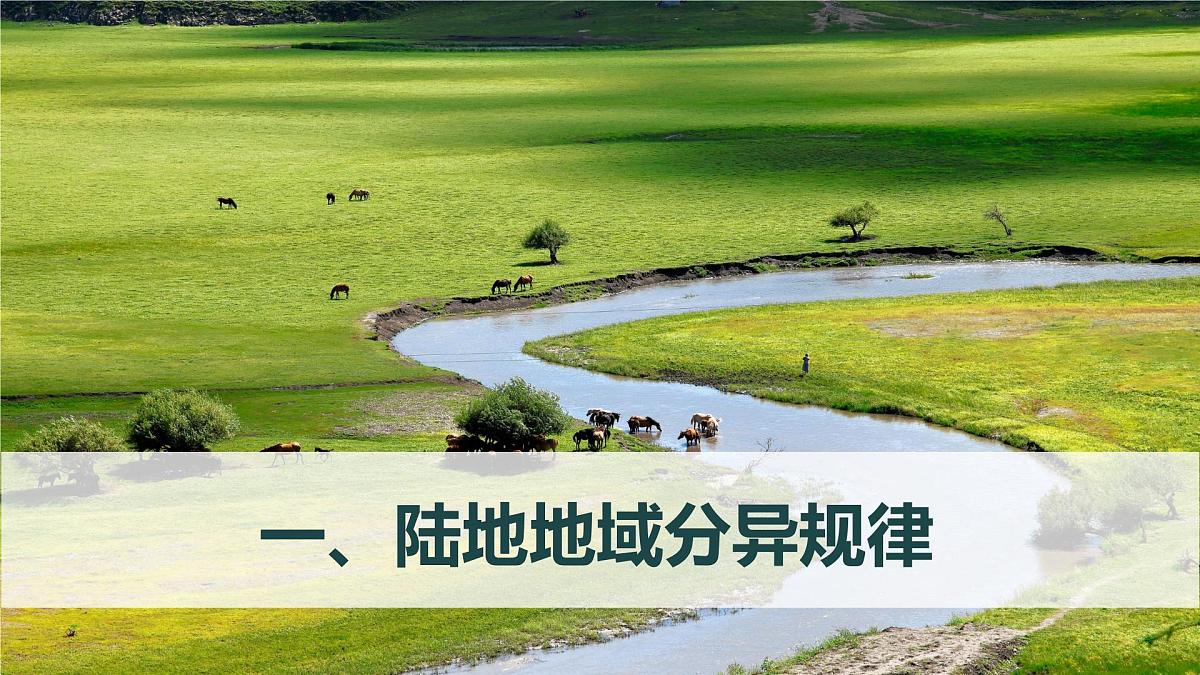 人教版2025高中地理选择性必修一5.2《自然环境的地域差异性》 课件第8页