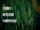 人教版2025高中地理選擇性必修三2.3《中國的耕地資源與糧食安全》 課件