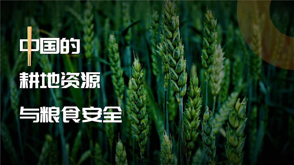 人教版2025高中地理选择性必修三2.3《中国的耕地资源与粮食安全》 课件第1页