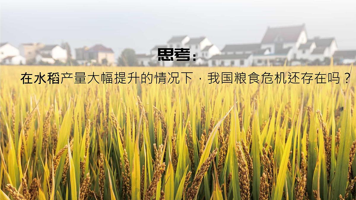 人教版2025高中地理选择性必修三2.3《中国的耕地资源与粮食安全》 课件第2页