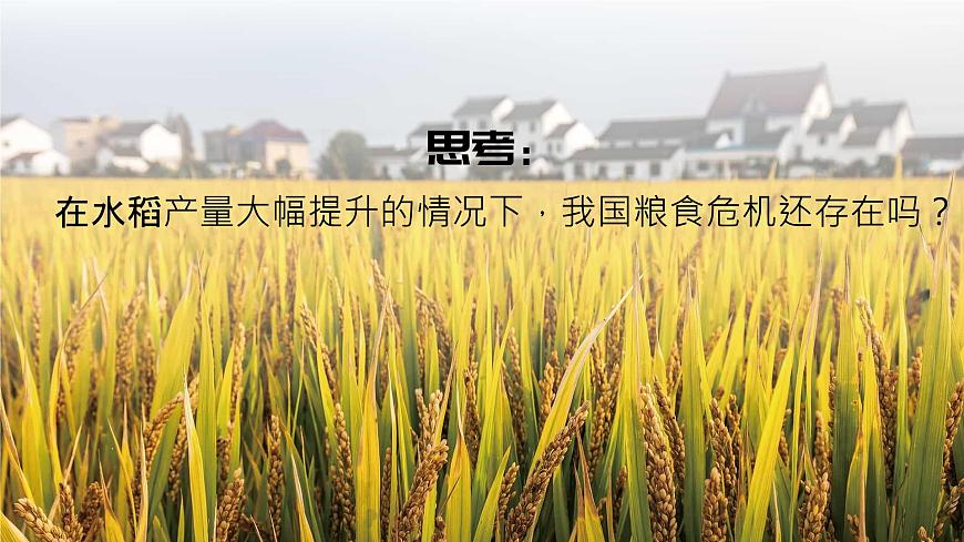 人教版2025高中地理选择性必修三2.3《中国的耕地资源与粮食安全》 课件第2页