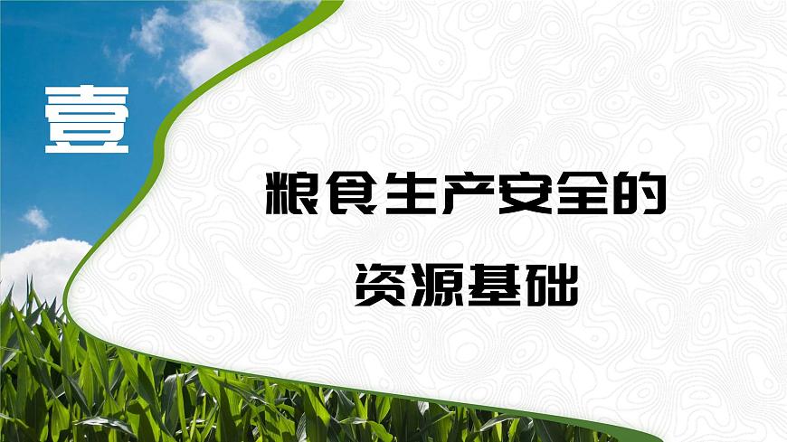 人教版2025高中地理选择性必修三2.3《中国的耕地资源与粮食安全》 课件第5页