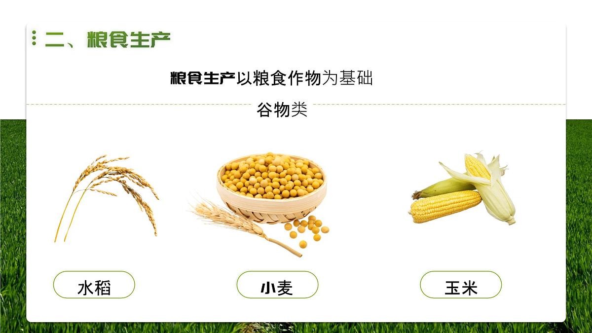 人教版2025高中地理选择性必修三2.3《中国的耕地资源与粮食安全》 课件第7页