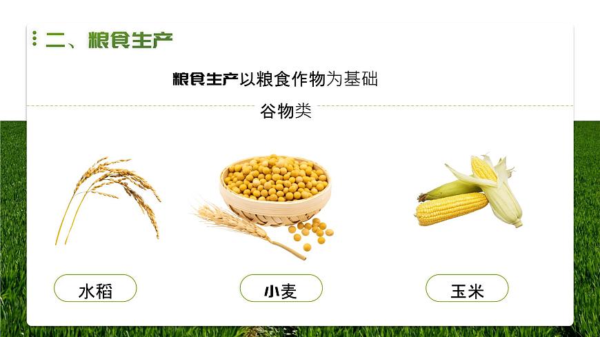 人教版2025高中地理选择性必修三2.3《中国的耕地资源与粮食安全》 课件第7页