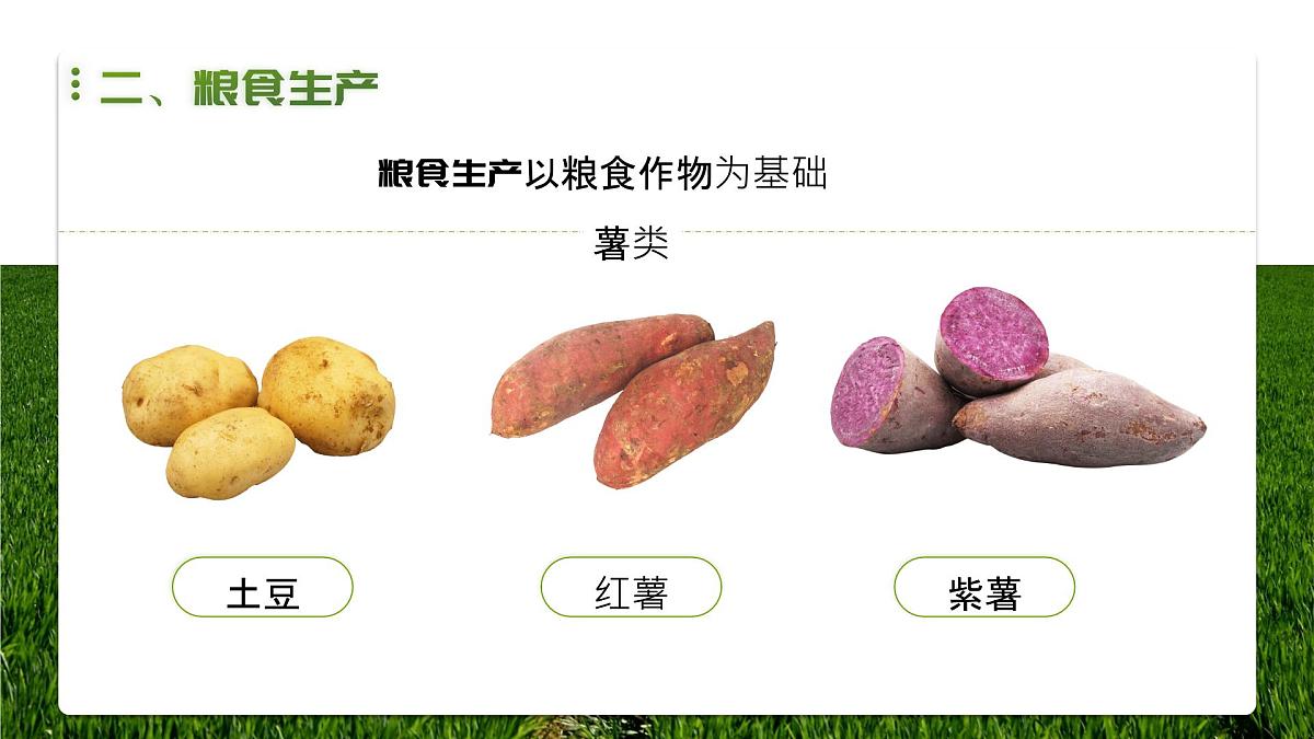 人教版2025高中地理选择性必修三2.3《中国的耕地资源与粮食安全》 课件第8页