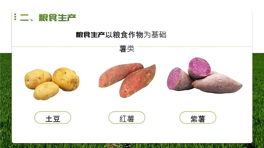 人教版2025高中地理选择性必修三2.3《中国的耕地资源与粮食安全》 课件第8页
