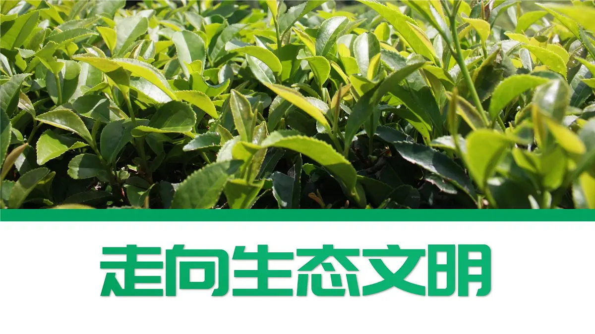 人教版2025高中地理选择性必修三4.1《走向生态文明》 课件第1页