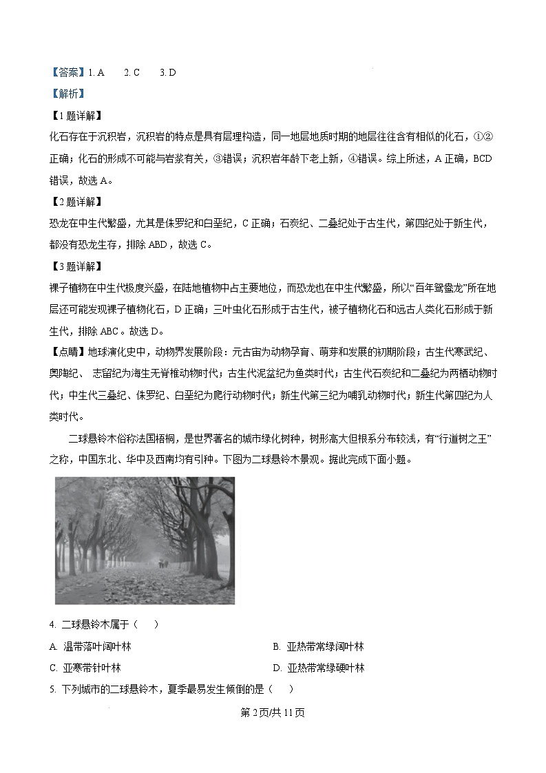 湖北省襄阳市2024-2025学年高一上学期1月期末地理试题 Word版含解析第2页