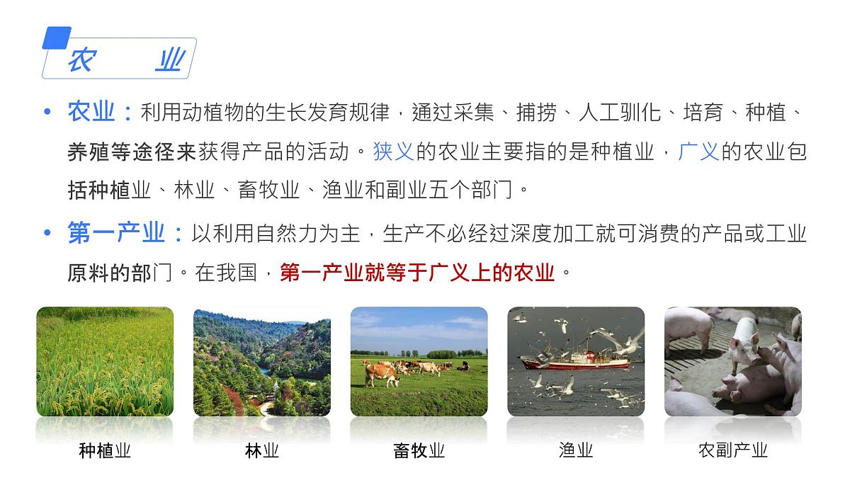 2025年高中地理专题复习27.农业区位因素 课件第8页