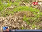地理中圖版（2019）選擇性必修1 5.1自然環(huán)境的整體性課件