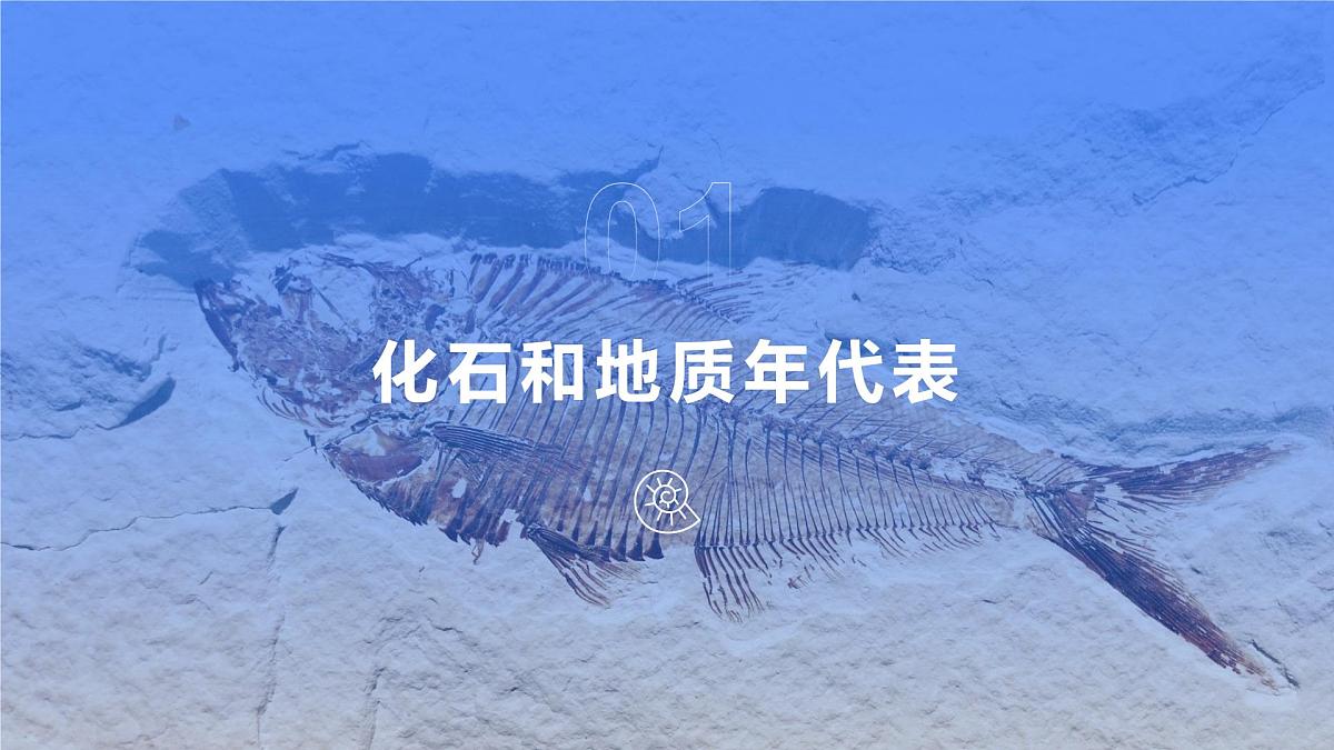 人教版2025高中地理必修一地球的历史 课件第5页