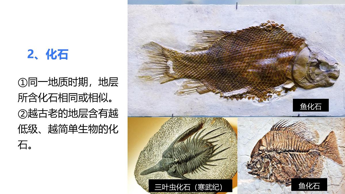 人教版2025高中地理必修一地球的历史 课件第8页