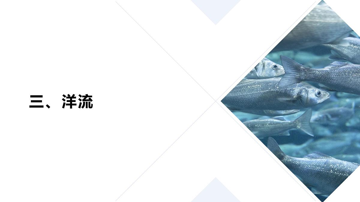 人教版2025高中地理必修一3.3 海水的运动2 课件第3页