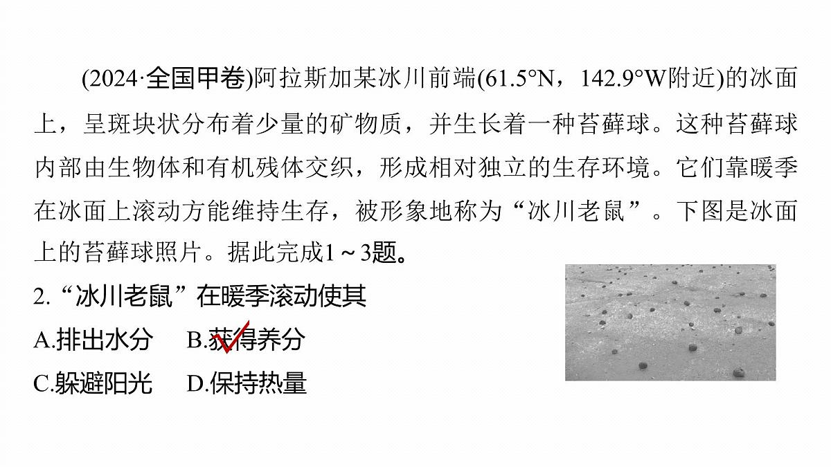 第一部分　素养1　专题1　主题1　区域整体性第5页