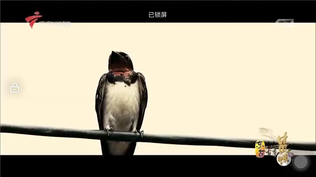 人教版高中地理 必修 第二册 2-1 乡村和城镇空间结构课件第3页
