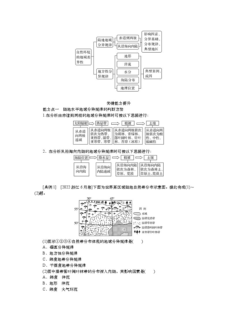 2025届高中地理人教版一轮复习第40课时导学案：陆地地域分异规律与地方性分异规律第3页