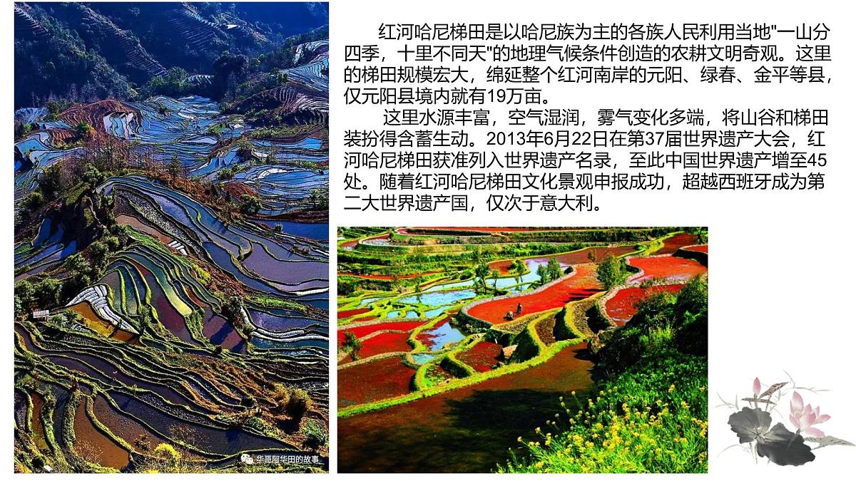 人教版高中地理必修 第二册 2-3《地域文化与城乡景观》课件第5页
