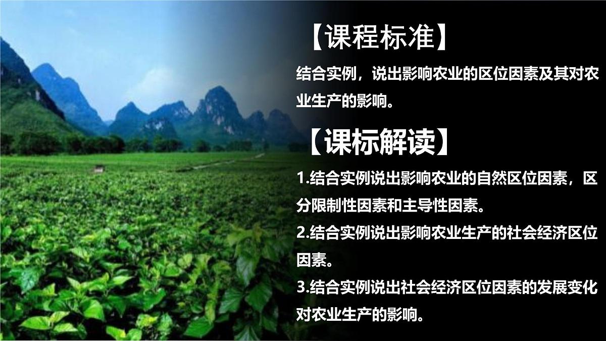 人教版高中地理必修 第二册 3-1农业区位因素及其变化 课件第2页