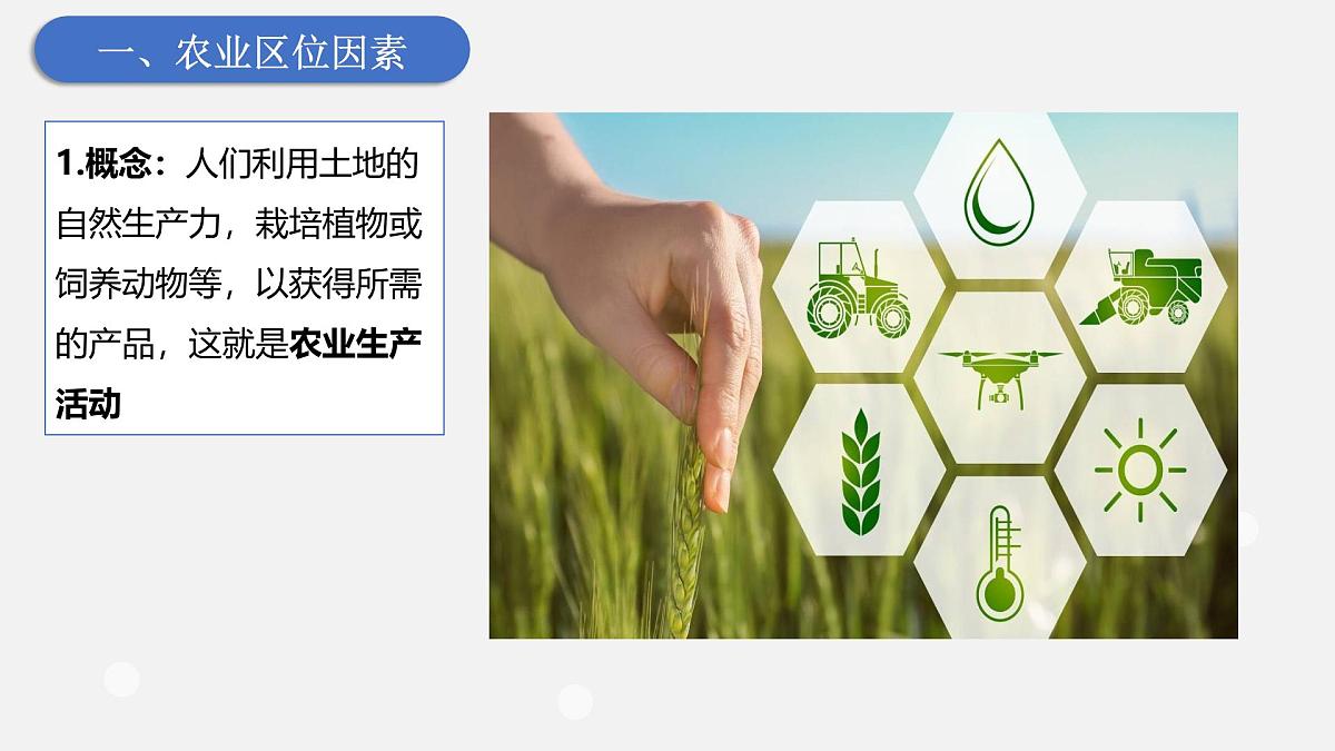 人教版高中地理必修 第二册 3-1农业区位因素及其变化 课件第4页