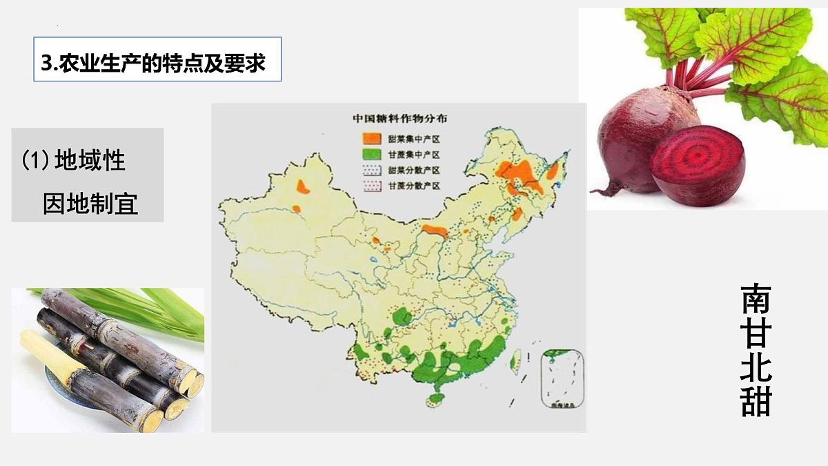 人教版高中地理必修 第二册 3-1农业区位因素及其变化 课件第6页