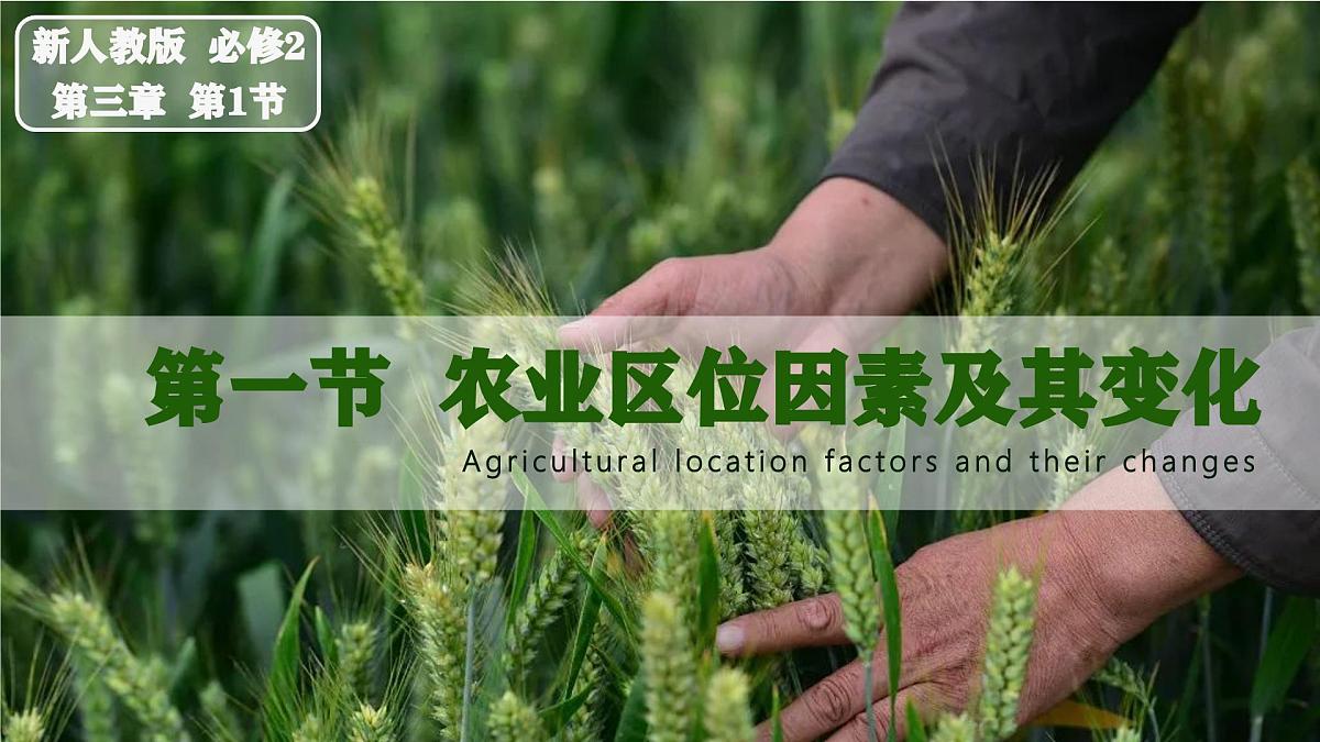 人教版高中地理必修 第二册 3-1农业区位因素及其变化 课件第1页